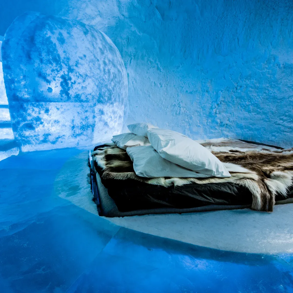 Northern Light House